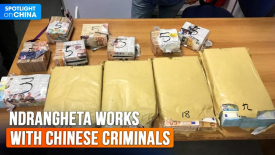 Italian police dismantle Chinese mafia money laundering network