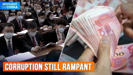 CCP creates trash, ‘flies’ and corruption still remain: commentator
