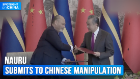 Taiwan reacts after Naru accepts CCP's 'One China principle'